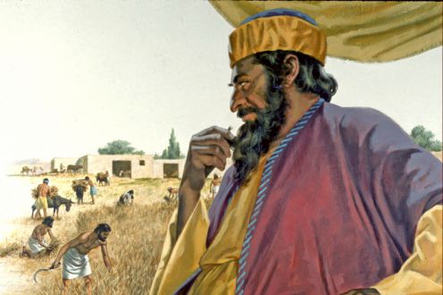 The Rich Fool