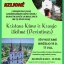Kristaus Kuno ir Kraujo iskilme 1